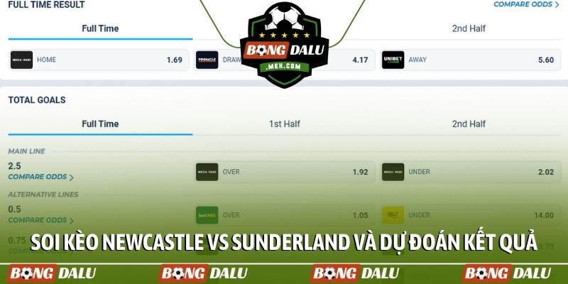 Soi kèo Newcastle vs Sunderland và dự đoán kết quả